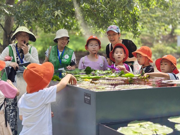 迎客松配资 在“植物王国”里夏夜探秘！“辰山奇妙夜”夏令营7月12日开启