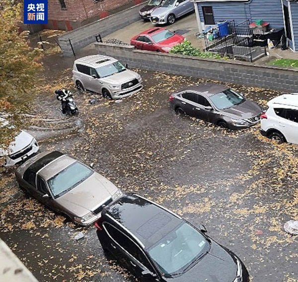 优配送 美国纽约突发暴雨引发严重洪灾 致2人死亡